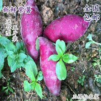 新鲜紫薯5斤装紫心番薯地瓜香薯新鲜红薯生地瓜越南紫薯小香薯