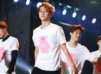 EXO 少女时代同款小熊卡通亲子装  情侣装   全棉短袖T恤