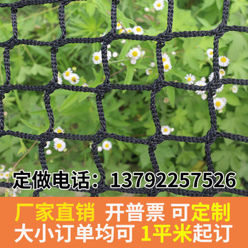 安全网尼龙网 绿色绳网防护网隔离大型球场围网挡网抗老化 无结
