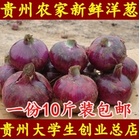【新鲜红洋葱10斤装】贵州农家新鲜洋葱 红洋葱 紫皮洋葱红洋葱