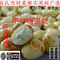 云南蒙自老品种金丝枣新鲜水果 冰糖枣 鲜枣子特级水果 香 脆 甜