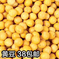 黄豆 农家自种非转基因 打豆浆专用 粮油粗粮有机黄豆500g