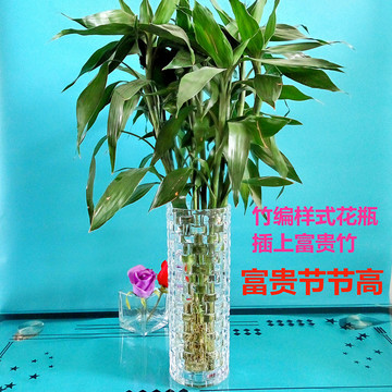 富贵竹百合花瓶圆柱直筒透明水晶玻璃转运竹编织创意水培花瓶摆件